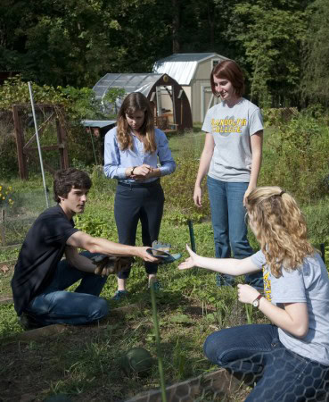 Students work in the Organic Garden.