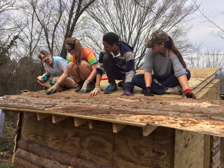 Students add a split log facing to the exterior of a tiger house.  