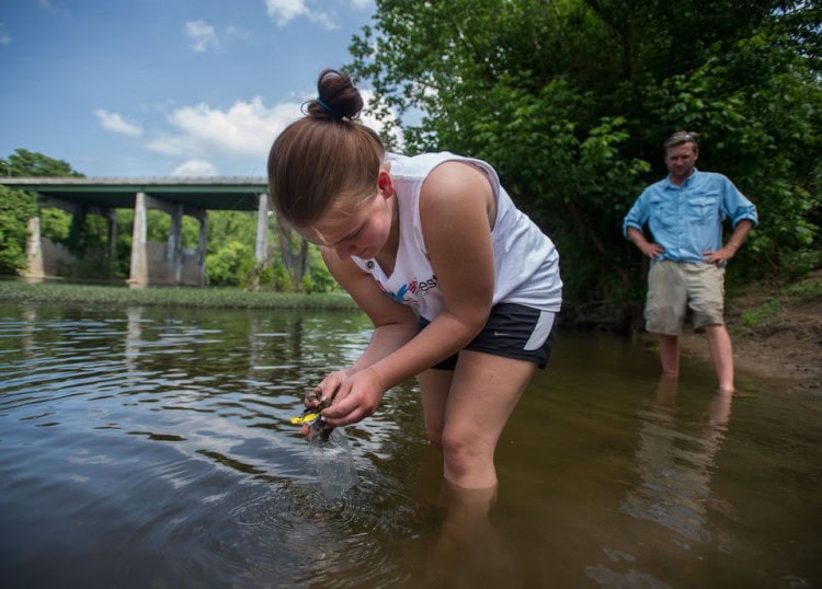 Allison Brooks gathers a sample of sediment from the James River along Percival's Island on Tuesday. Brooks is part of Randolph College's summer research program, which is testing for possible contaminants trapped near the RockTenn Dam. (Autumn Parry/The News & Advance)