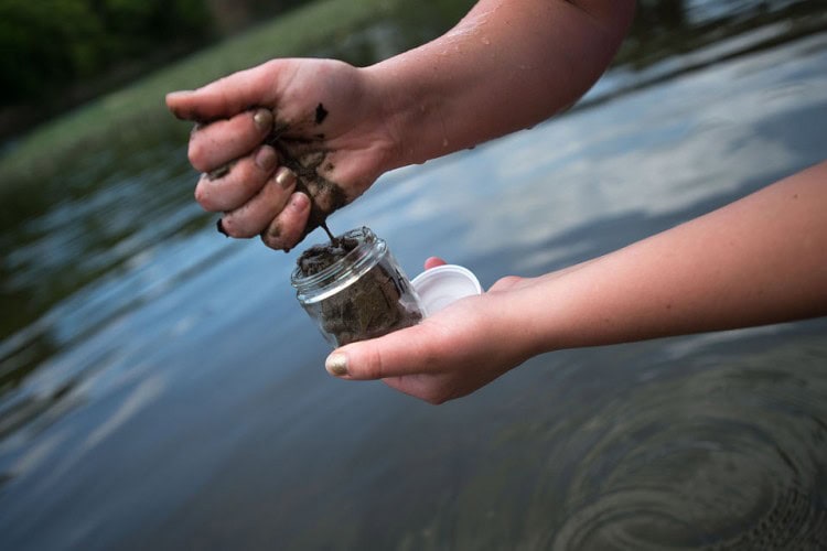 Allison Brooks gathers a sample of sediment from the James River along Percival's Island on Tuesday. Brooks is part of Randolph College's summer research program, which is testing for possible contaminants trapped near the RockTenn Dam. (Autumn Parry/The News & Advance) Allison Brooks gathers a sample of sediment from the James River along Percival's Island on Tuesday. Brooks is part of Randolph College's summer research program, which is testing for possible contaminants trapped near the RockTenn Dam. (Autumn Parry/The News & Advance)