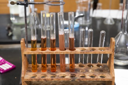 Di Bei '18 is developing new techniques for testing levels of different contaminants in environmental samples.