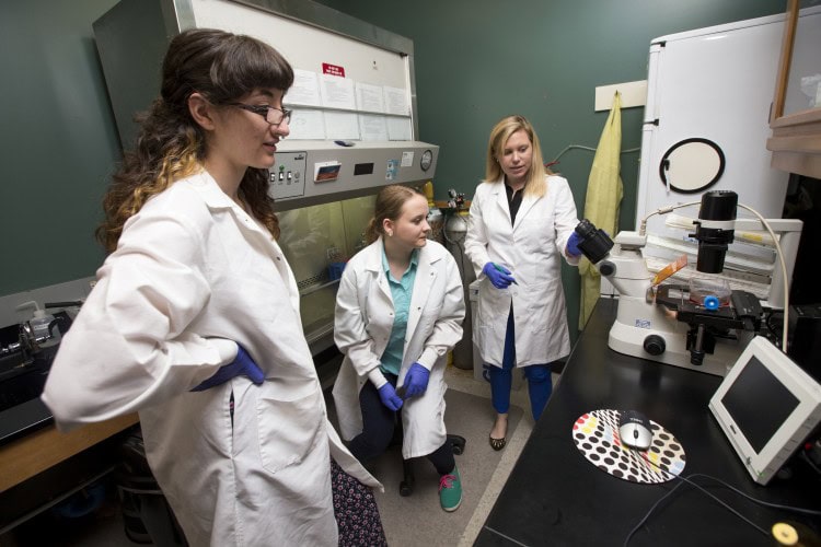 From left, Olivia Reed and Tetiana Poliakova work in a lab with biology professor Amanda Rumore.