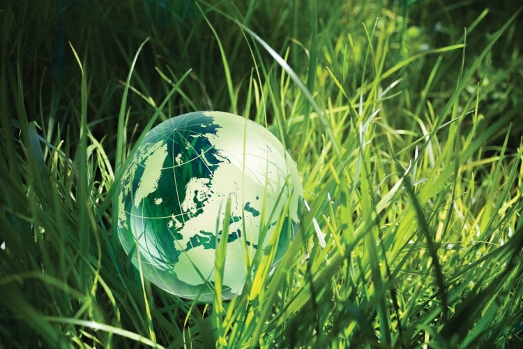 glass globe in the grass