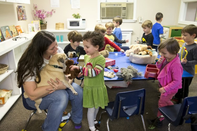 20151201_nursery_school_vet_day_0034