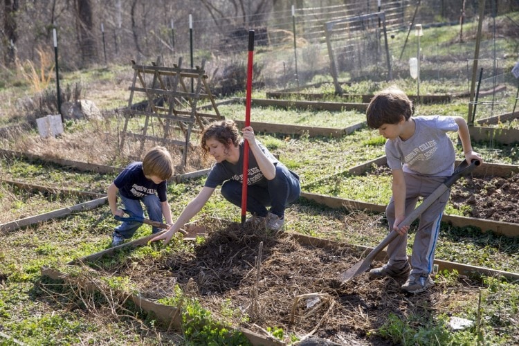 Instructor Shanna Jackson helps students dig in the garden.