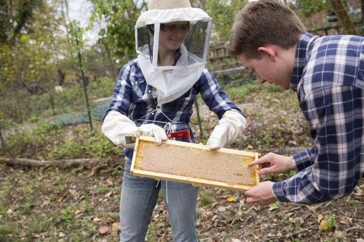 Sophia Dill '18 works in Randolph's Organic Garden.