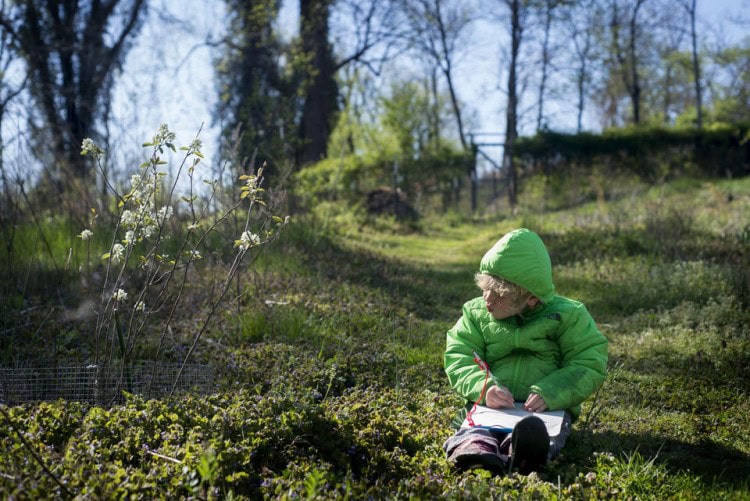 Colin O'Neil draws a picture on a tree that he saw during an exercise where the students of Randolph College Nursery School had to find something in the organic garden on campus and draw or write about it. Photo by Jill Nance