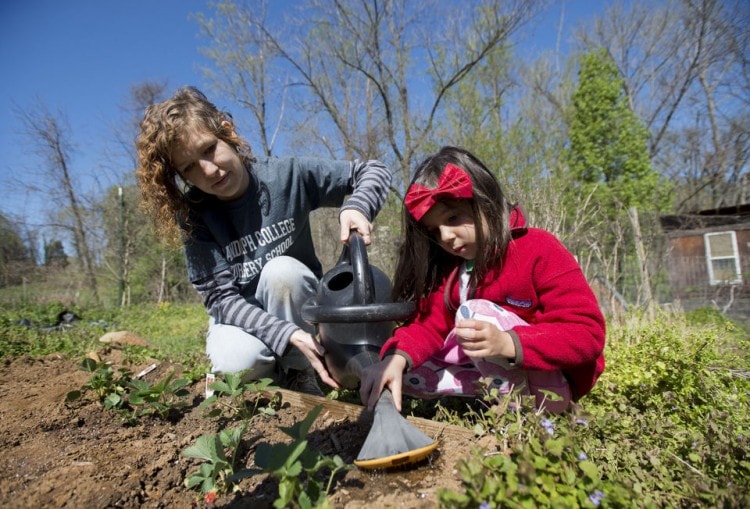 Teacher Shanna Jackson (left) helps Mikaela Mehrotra water strawberries the class planted in their plot inside the organic garden on the campus of Randolph College on Wednesday. Photo by Jill Nance