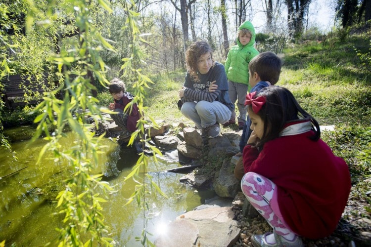 Students at Randolph Colllege Nursery School explore a pond inside the organic garden on the campus of Randolph College on Wednesday. Photo by Jill Nance