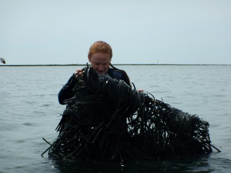 Libby Exline '19 examines a seagrass bed off of the Virginia coast.