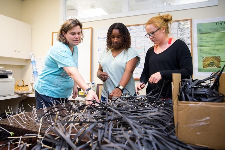 Physics and environmental studies professor Sarah Sojka, Tyrah Cobb-Davis '19, and Libby Exline '19 construct artificial seagrass