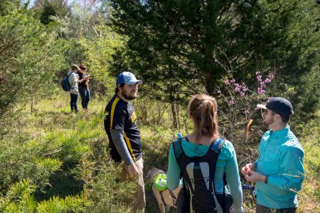 Students conduct research on trees and plant life in Natural Bridge State Park.