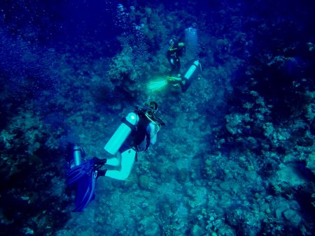 Libby Exline '19 scuba diving off the coast of the Turks and Caicos Islands.