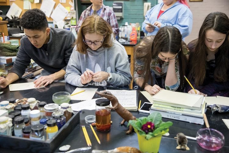 During a special workshop, Randolph students paint specimens from the College’s Natural History Collection using materials similar to those Sydney Parkinson used in the 1700s.