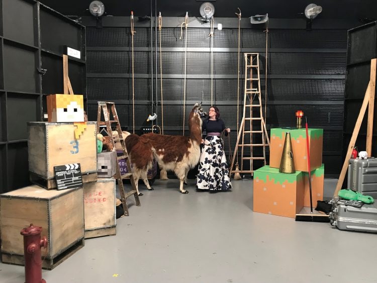 Norris pets a llama that was used during a video shoot for the intro sequence to MINECON Earth.