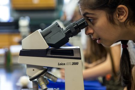 A Science Day attendee takes a look through a microscope