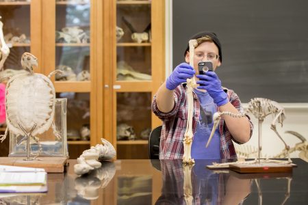 Rachel Harrison '18 takes a photo of fossils during a museum and heritage studies course