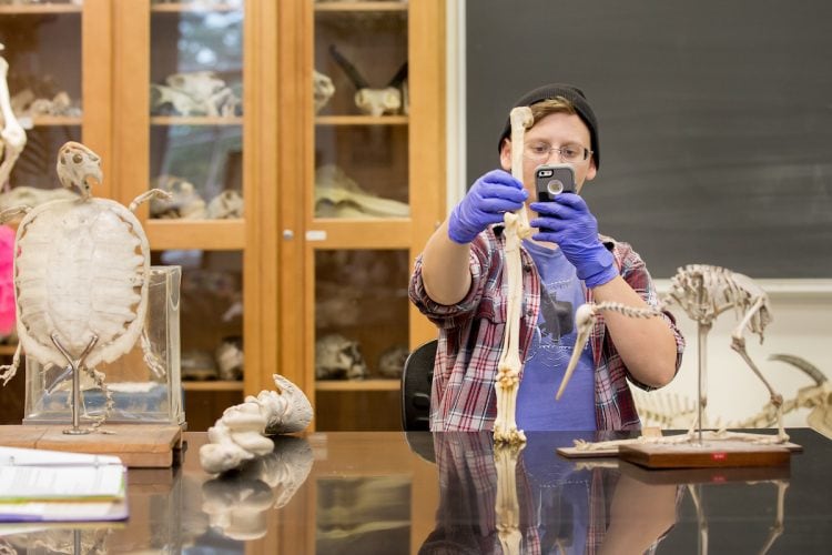 Rachel Harrison '18 takes a photo of fossils during a museum and heritage studies course Rachel Harrison '18 takes a photo of fossils during a museum and heritage studies course