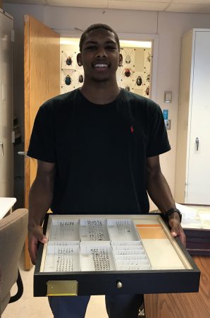 Brian Smith holds a case of beetle and weevil specimens as part of his internship at the Smithsonian Museum of Natural History