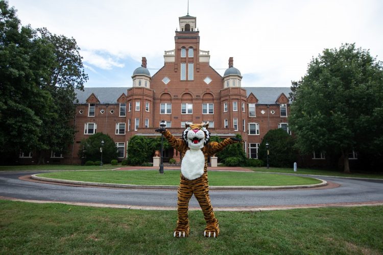 The new Wanda WildCat on front campus