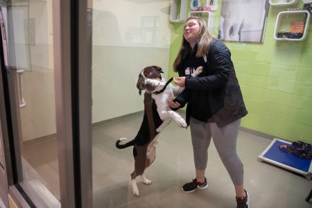 A dog eagerly greets Deaven Milam at the Lynchburg Humane Society