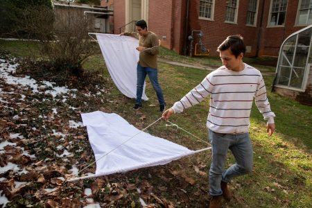 Eynnar Claros Chacon and Allen Vaytser use their "draggers" to catch ticks on campus