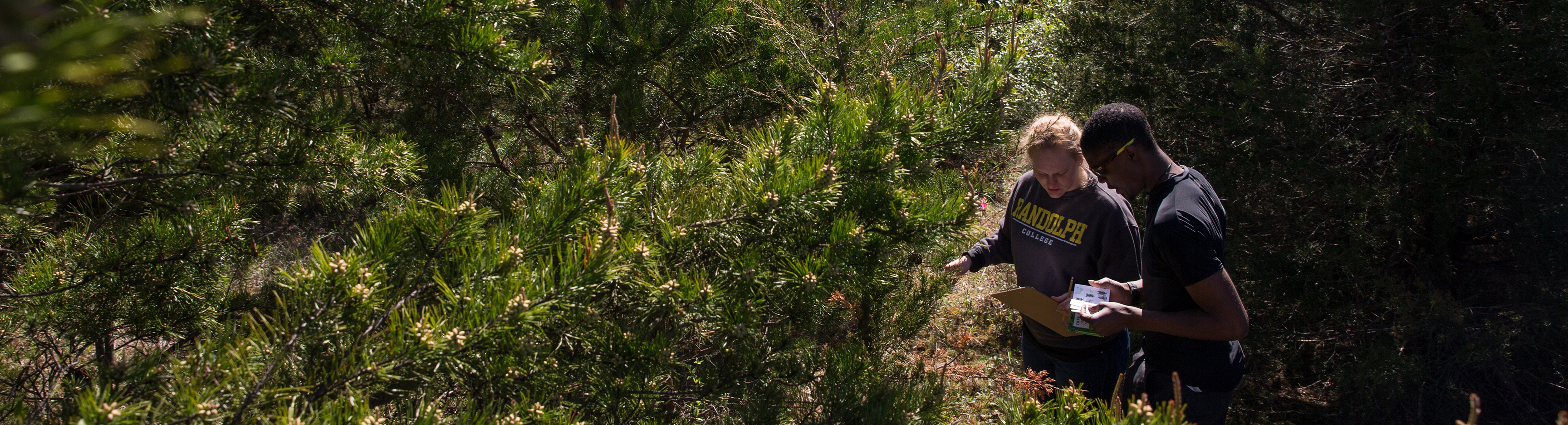 Photos of students at Natural Bridge State Park