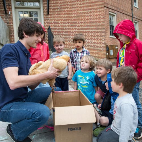 Nursery school students meet one of the chickens from the College's Organic Garden.