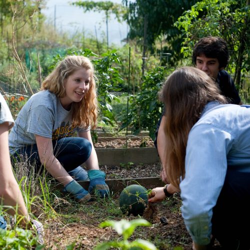 Students work in the Randolph College Organic Garden, a living sustainability and permaculture lab.