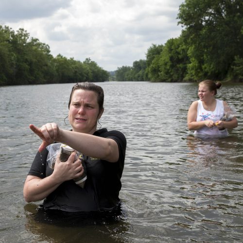 Environmental science professor Sarah Sojka collects with water samples in the James River with students.