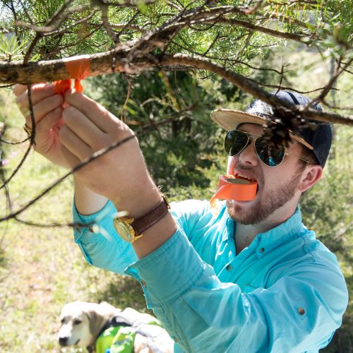 Randolph College students conduct a tree survey at Natural Bridge State Park