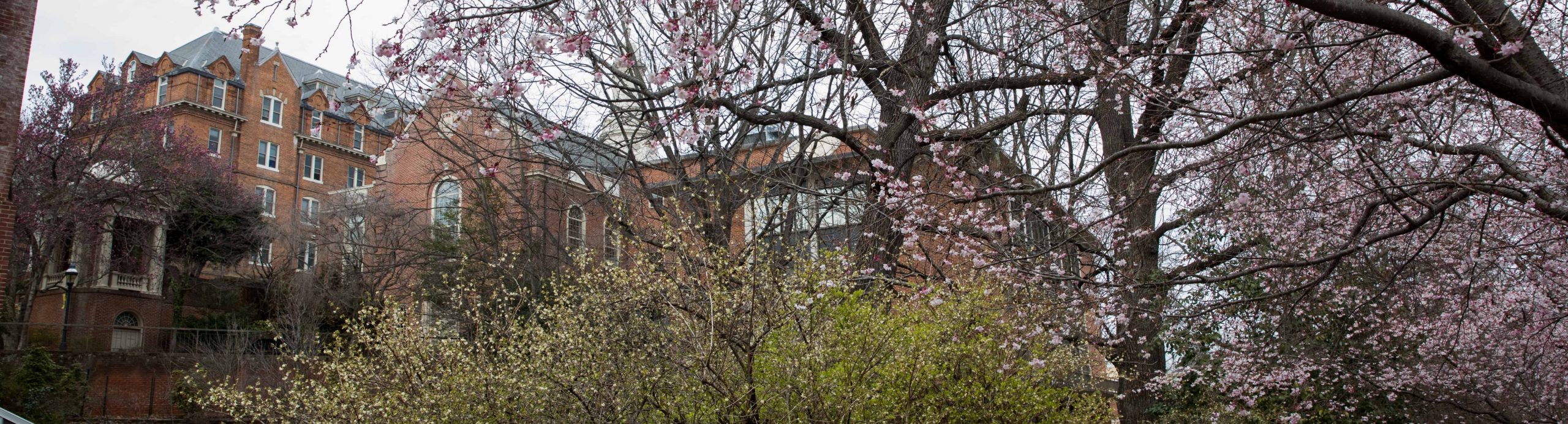 Photo of campus in spring