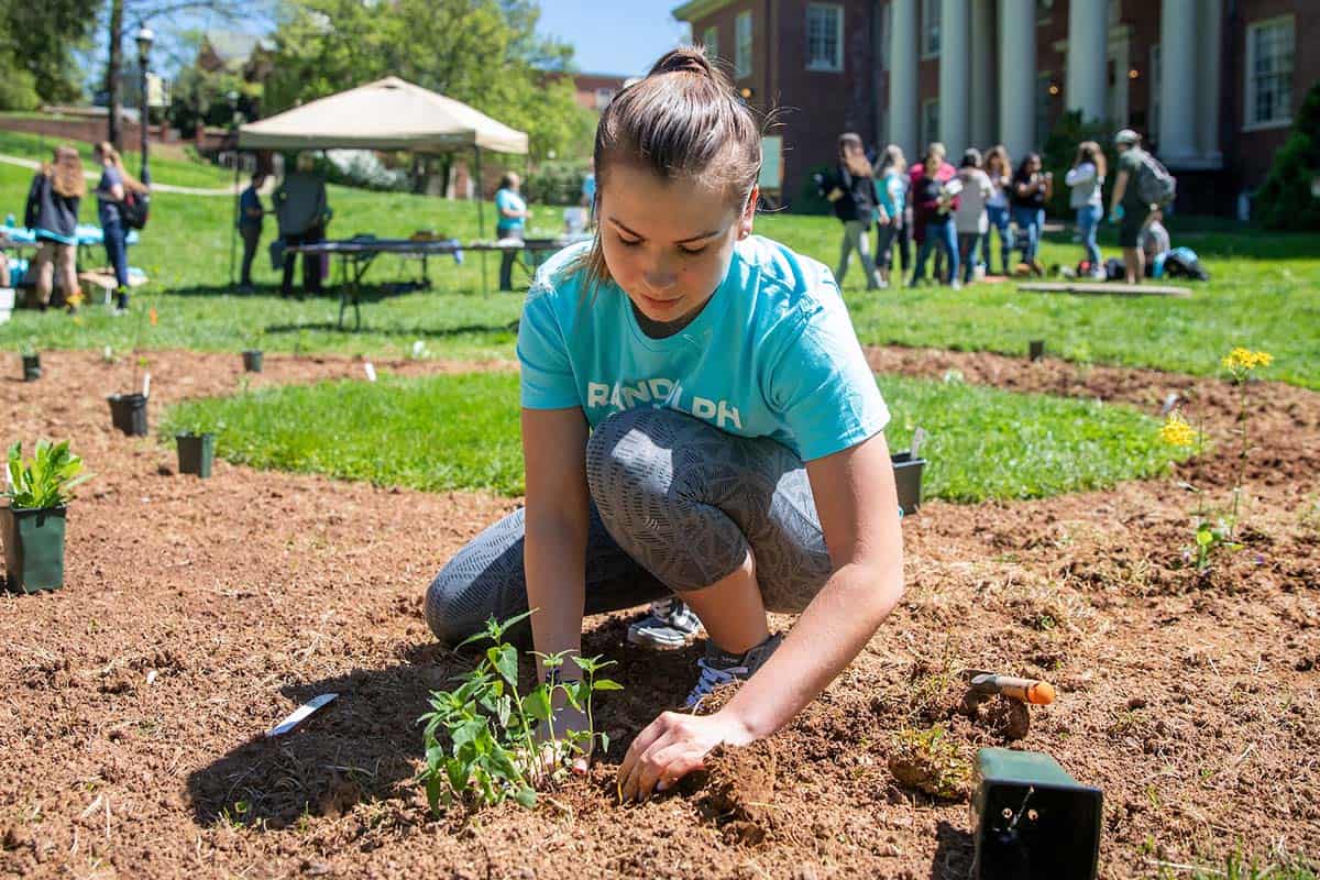 Female student plants flowers in a butterfly garden on front campus.