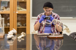 Student taking pictures on a phone of a notebook with the skeleton of a small bird in front of him.