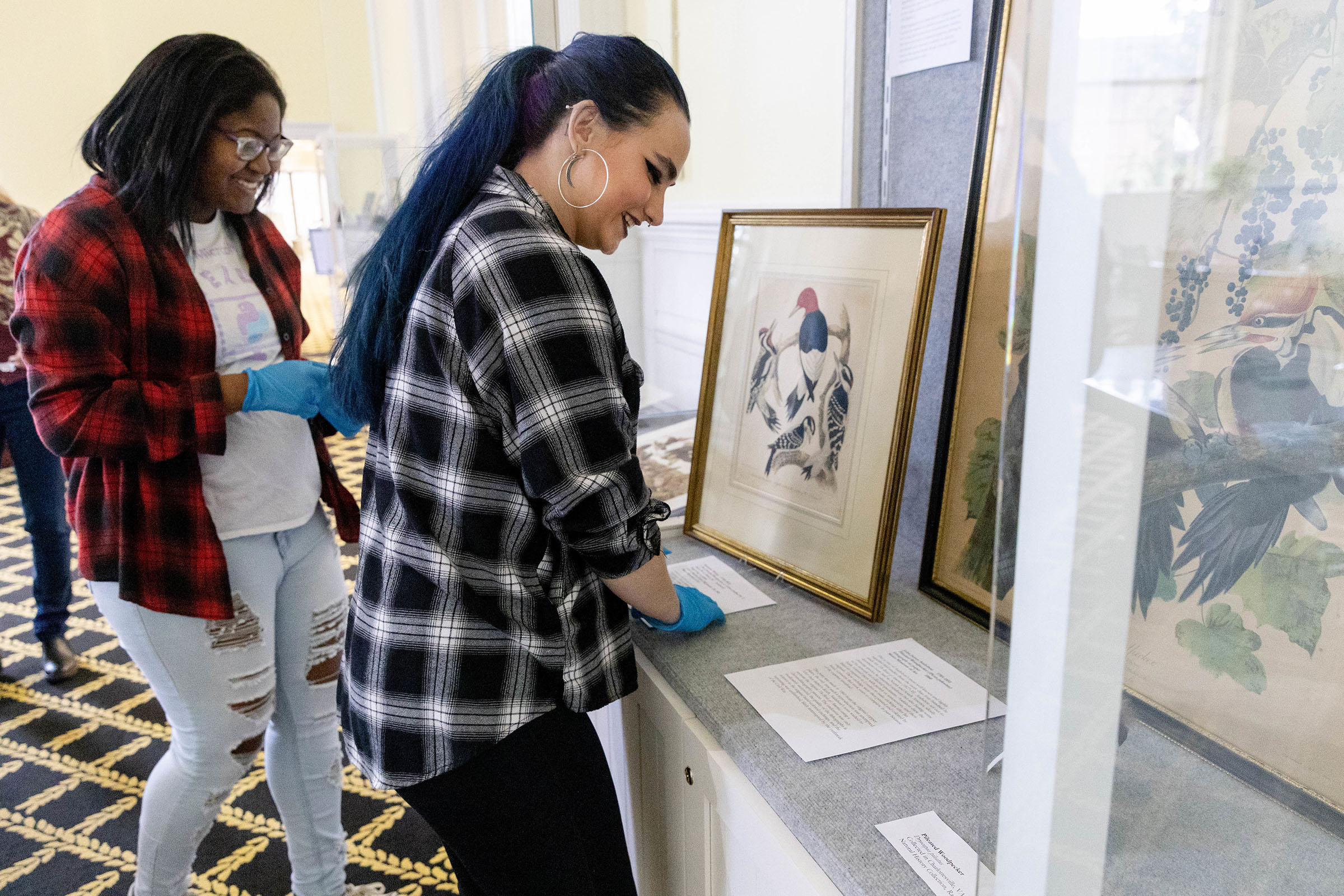 Students curating the Our Animal Nature exhibit.