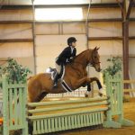Rider jumping