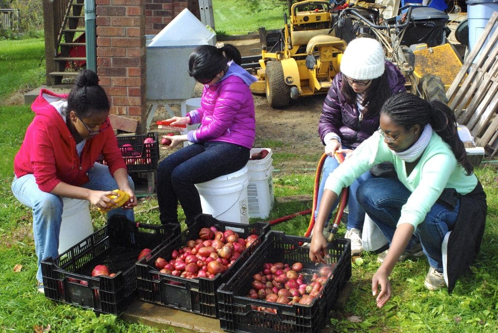 Photo of students volunteering