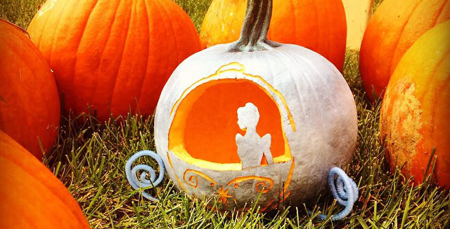 Pumpkin photo Pumpkin photo