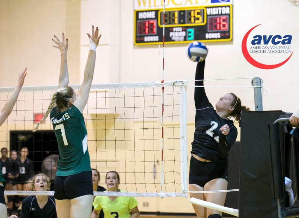 Volleyball photo