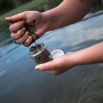 Allison Brooks gathers a sample of sediment from the James River along Percival's Island on Tuesday. Brooks is part of Randolph College's summer research program, which is testing for possible contaminants trapped near the RockTenn Dam. (Autumn Parry/The News & Advance)