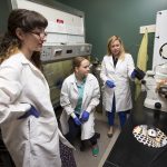 From left, Olivia Reed and Tetiana Poliakova work in a lab with biology professor Amanda Rumore.