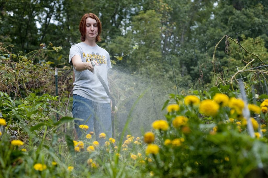 Girl watering flowers