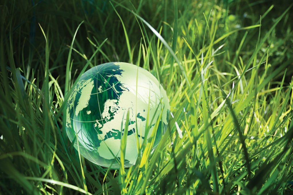 Green globe in green grass Green globe in green grass