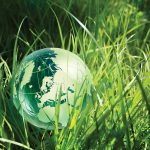 Green globe in green grass