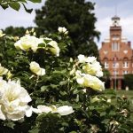 For #GroundhogDay, Punxsutawney Phil says spring is coming early. That's good news for roses at #RandolphCollege!