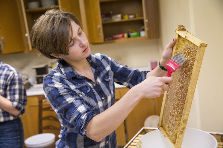Sophia Dill '18 extracting honey Sophia Dill '18 extracting honey