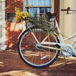 Bicycle with Sunflowers at Randolph College