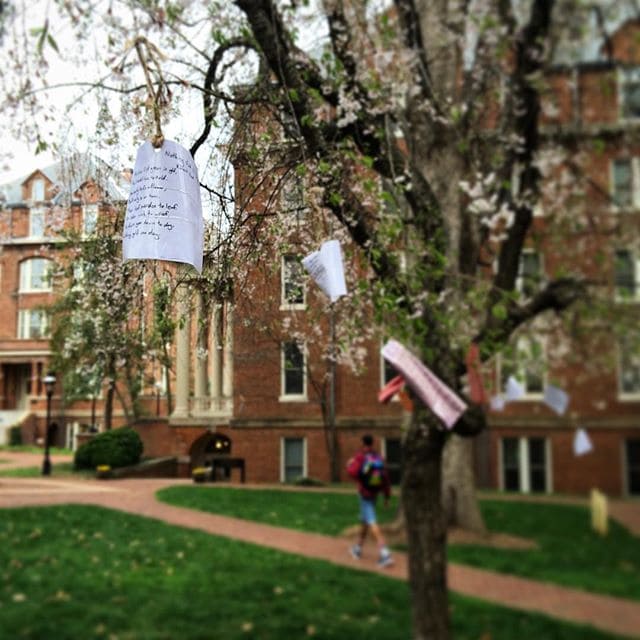 Randolph College Poetry Tree
