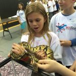 Children handle snakes from the Dunbar Middle School herpetology center at the Randolph College SciFest