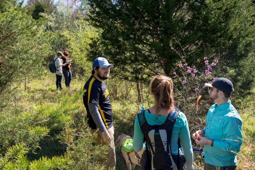 Students conduct research on trees and plant life in Natural Bridge State Park.